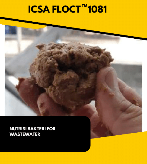 ICSA FLOCT 1081 Flokulan polimer Anionic
for Wastewater