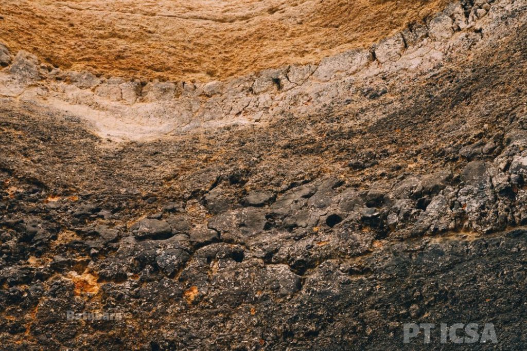 Bagaimana Batubara Terbentuk