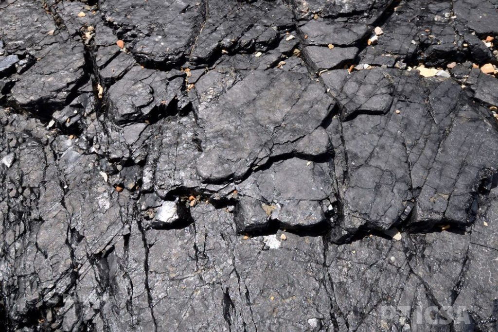 Bagaimana Batubara Terbentuk