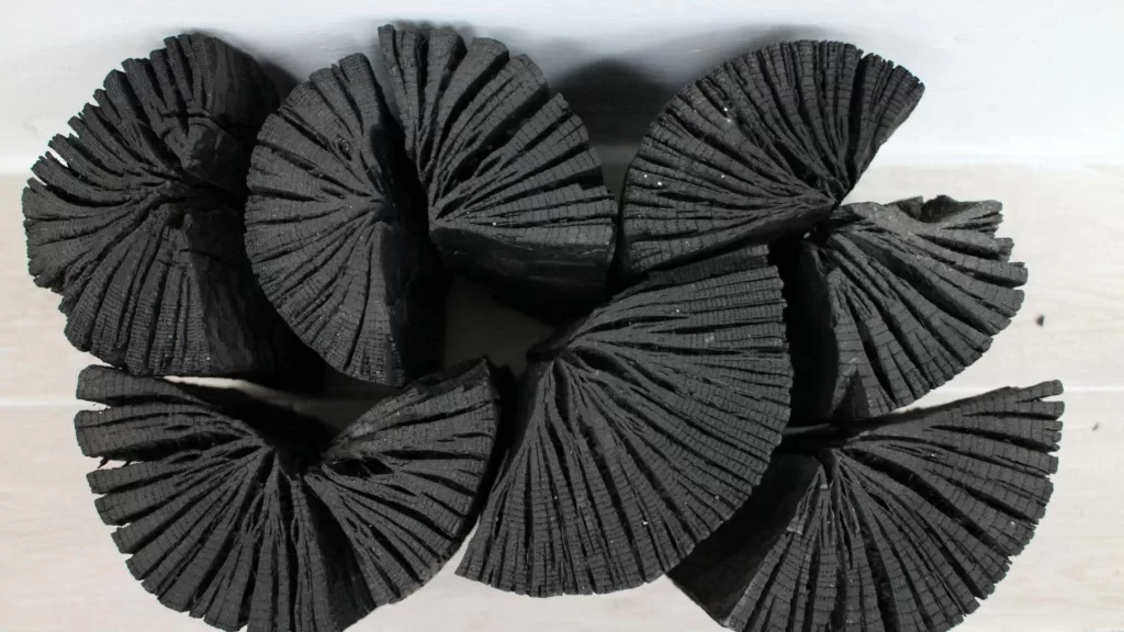 Fungsi arang dalam Penjernihan Air