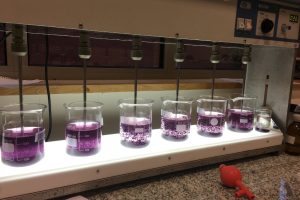 Bahan Kimia Industri Pengolahan Air Bersih