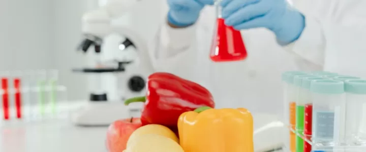 Bahan Kimia yang Aman untuk makanan