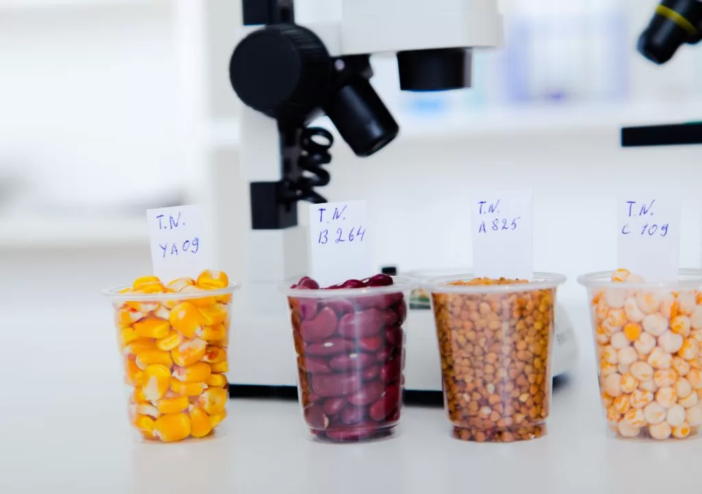 Bahan kimia makanan yang diawetkan