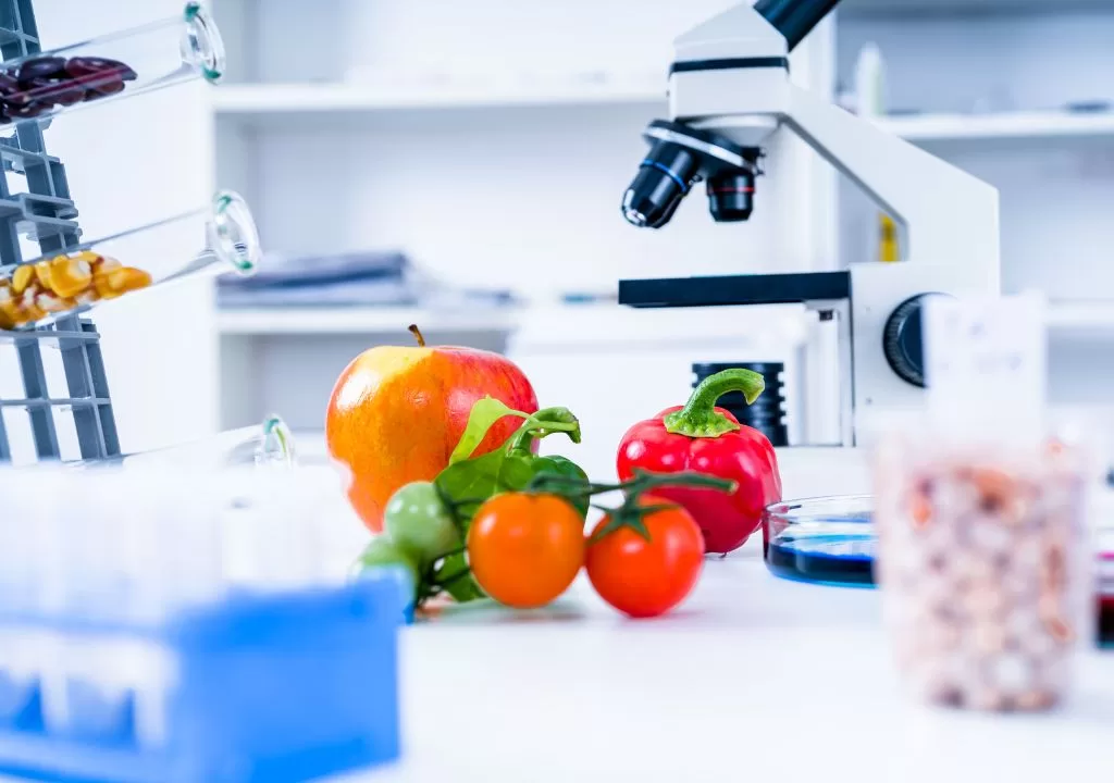 Bahan kimia makanan alam