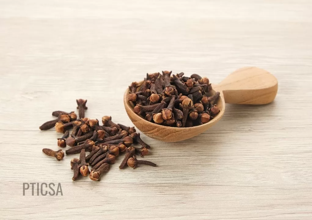Bahan kimia penyedap rasa Cengkeh
