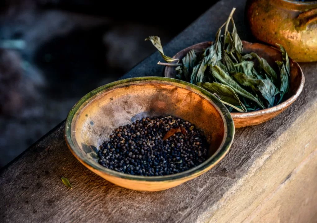 Contoh pewarna tekstil alami dan buatan yang dipamerkan dalam tabung reaksi