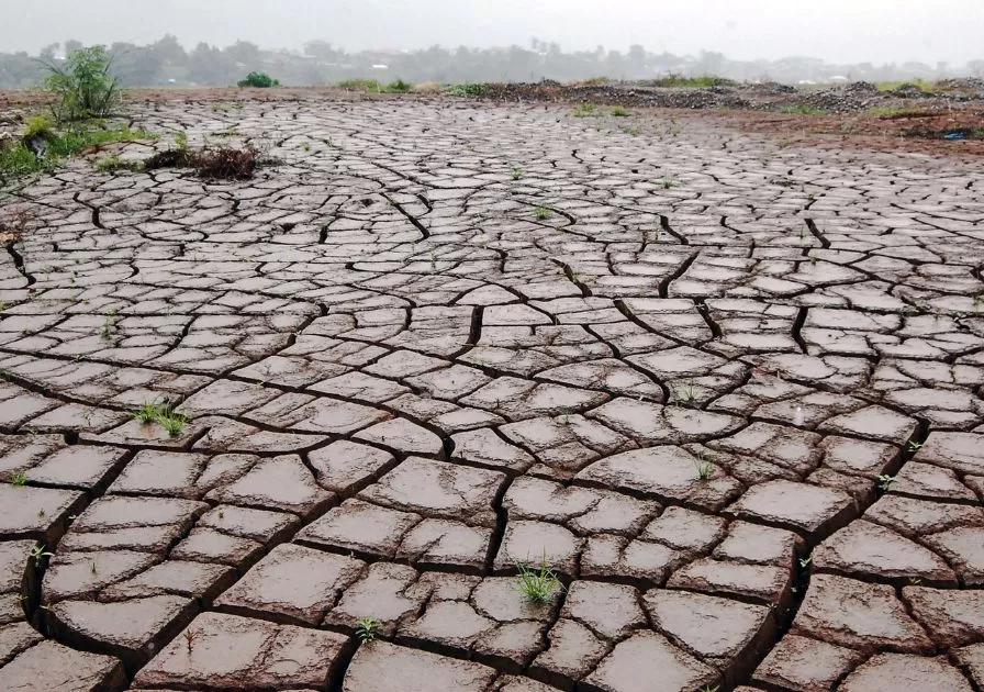 Dampak langsung El Niño kekeringan