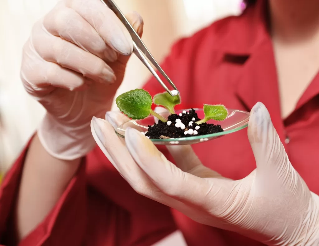 Manfaat-bahan-kimia dalam meningkatkan hasil pertanian