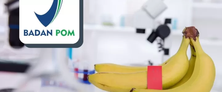 Regulasi Penggunaan Bahan Kimia pada Makanan di Indonesia