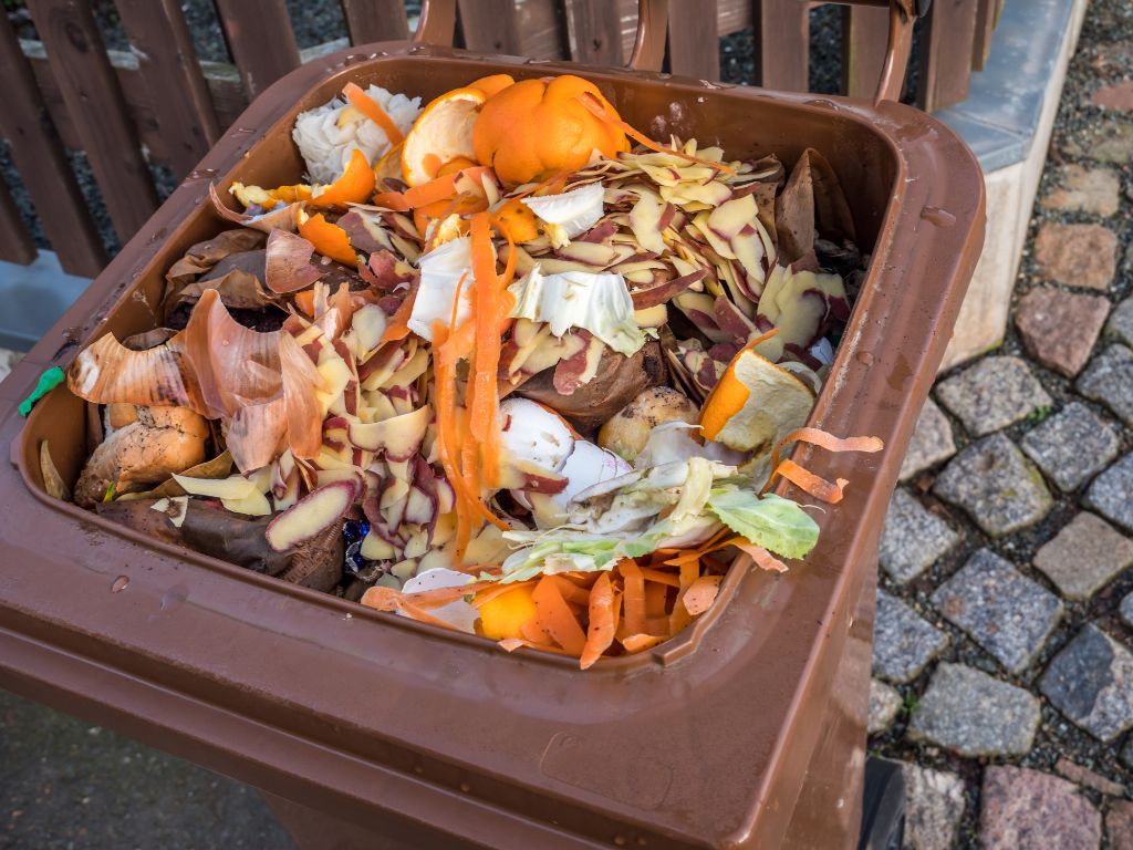 cara membuat bio solar