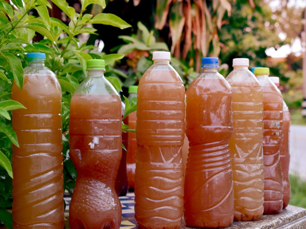 cara membuat bio solar