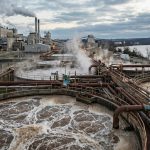 Aplikasi Caustic Soda dalam Industri Pulp dan Kertas