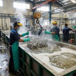 Proses perendaman logam dalam larutan kimia untuk pembersihan permukaan (Surface Treatment)