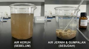perbandingan air keruh sebelum dan sesudah diberikan bahan penjernih (proses flokulasi)