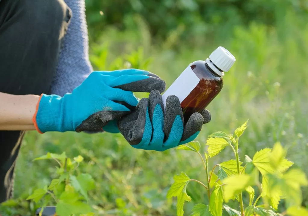 Foto petani yang menggunakan bahan kimia seperti pestisida dan pupuk untuk meningkatkan hasil panen